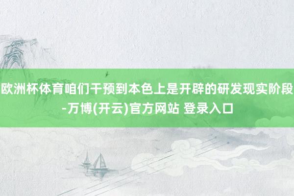 欧洲杯体育咱们干预到本色上是开辟的研发现实阶段-万博(开云)